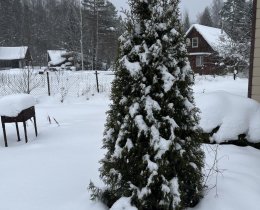 Срочная продажа