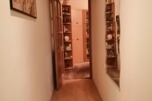 3-комн.кв., Петроградский р-н, Гатчинская ул., 22, литера А