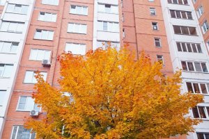 1к кв-ра 42 м на Косыгина 33 к 1