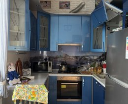 1-комн.кв., Василеостровский р-н, Шевченко ул., 37