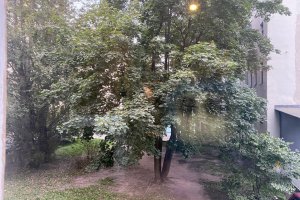 1-комн.кв., Василеостровский р-н, Гаванская ул., 26