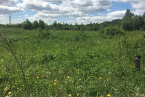 Земельный участок 12,8 га