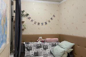 Комната у м. Горный институт