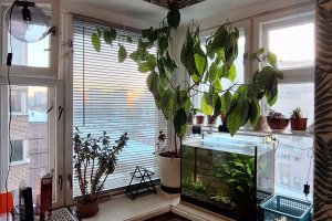 3-комн.кв., Московский р-н, Варшавская ул., 108, литера А