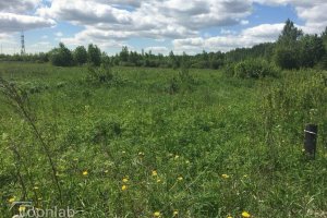 Земельный участок 12,8 га