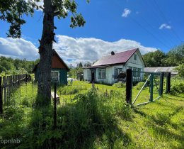 Дом в деревне