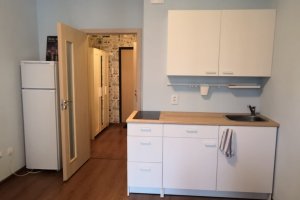 Студия, Василеостровский р-н, Александра Грина б-р., 1