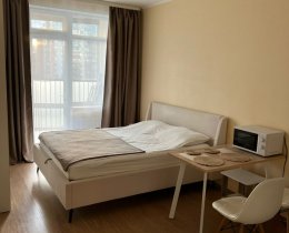 Студия, Красносельский р-н, Катерников ул., 7