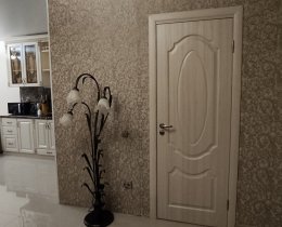 1-комн.кв., Пушкинский р-н, Новгородский проспект, 6, литера А