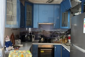 1-комн.кв., Василеостровский р-н, Шевченко ул., 37