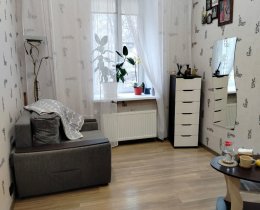 1 комната в квартире, Василеостровский р-н, Опочинина ул., 33, литера А