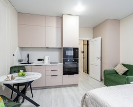 Студия, Невский р-н, Дальневосточный проспект, 23, к 1, строение 1