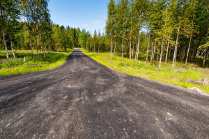 Участок у леса