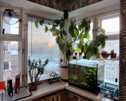 3-комн.кв., Московский р-н, Варшавская ул., 108, литера А