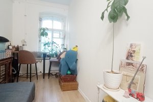 Маленькая. да удаленькая!