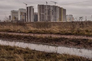 Архангельский девелопер приобрел на юге Санкт-Петербурга 2 земельных участка