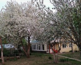 Дом 55 сотка