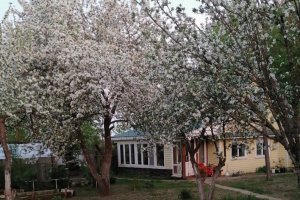 Дом 55 сотка