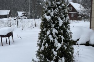 Срочная продажа