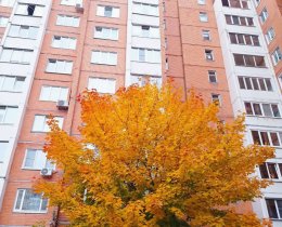 1к кв-ра 42 м на Косыгина 33 к 1