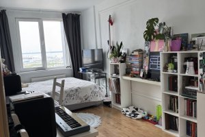 1-комн.кв., Василеостровский р-н, Вадима Шефнера ул., 14, к 1