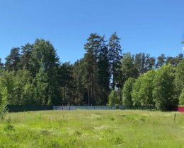 Участок в Комарово 20,4 сот