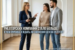 Риелторских компаний стало больше. В чем причина и ждать ли снижения цен на услуги?