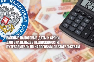 Важные налоговые даты и сроки для владельцев недвижимости: Путеводитель по налоговым обязательствам