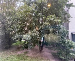 1-комн.кв., Василеостровский р-н, Гаванская ул., 26