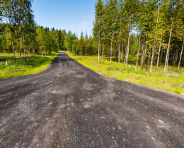 Участок у леса